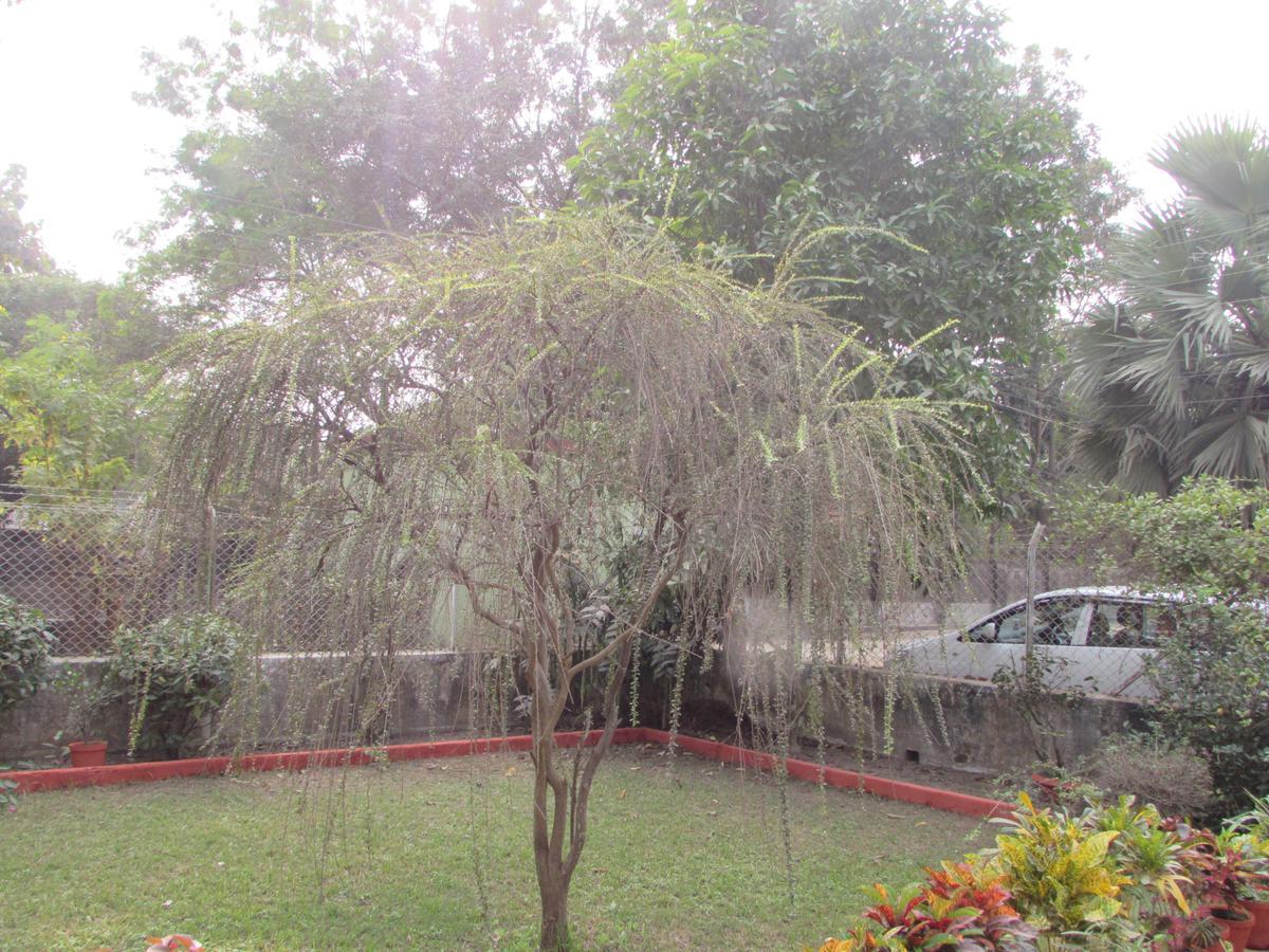 Aayesh Bed & Breakfast Shānti Niketan Exterior foto